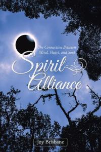 Cover image: Spirit Alliance 9781504310451