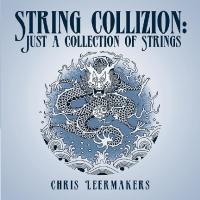 Imagen de portada: String Collizion: Just a Collection of Strings 9781504311892