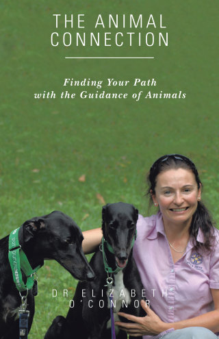Cover image: The Animal Connection 9781504314060
