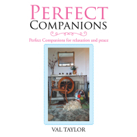 Cover image: Perfect Companions 9781504316019