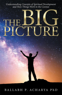 Cover image: The Big Picture 9781504316231