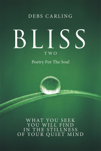 Cover image: Bliss Two 9781504317733