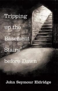 Cover image: Tripping up the Basement Stairs Before Dawn 9781504331289
