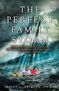 Omslagafbeelding: The Perfect Family Storm 9781504336314