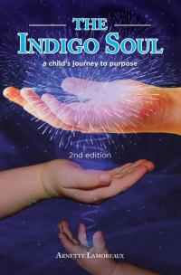 Cover image: The Indigo Soul 9781504342360