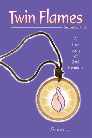 Imagen de portada: Twin Flames 9781504343718