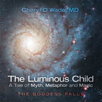 Cover image: The Luminous Child—A Tale of Myth, Metaphor and Magic 9781504344708