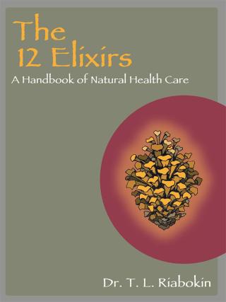 Cover image: The 12 Elixirs 9781504350785