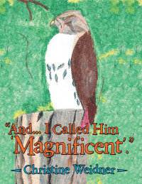 Imagen de portada: "And... I Called Him 'Magnificent'." 9781504353892