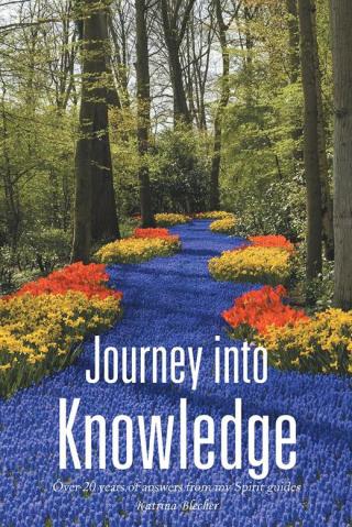 Cover image: Journey into Knowledge 9781504360715