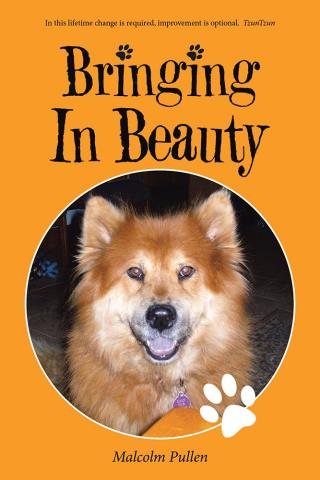 Cover image: Bringing in Beauty 9781504365543