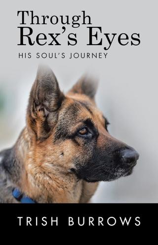 Cover image: Through Rex’S Eyes 9781504375511