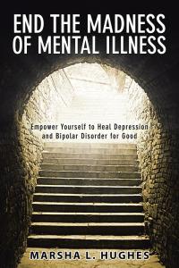 Cover image: End the Madness of Mental Illness 9781504380362