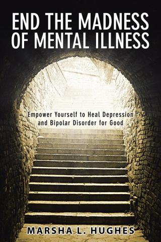 Omslagafbeelding: End the Madness of Mental Illness 9781504380362