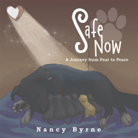 Cover image: Safe Now 9781504388665