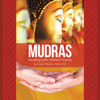 Cover image: Mudras 9781504399586