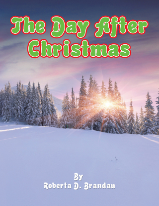Imagen de portada: The Day After Christmas 9781504933421