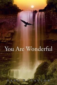 Cover image: You Are Wonderful 9781504946674