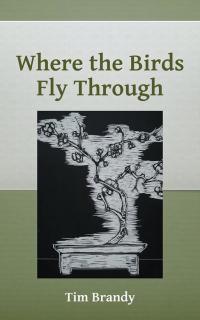 Cover image: Where the Birds Fly Through 9781504950220