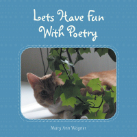 Cover image: Let’S Have Fun with Poetry 9781504959810