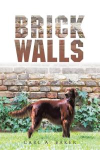 Cover image: Brick Walls 9781504967464