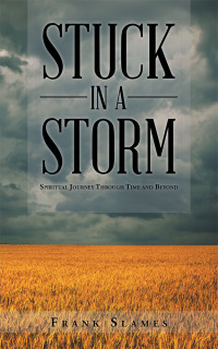 Imagen de portada: Stuck in a Storm 9781504969352