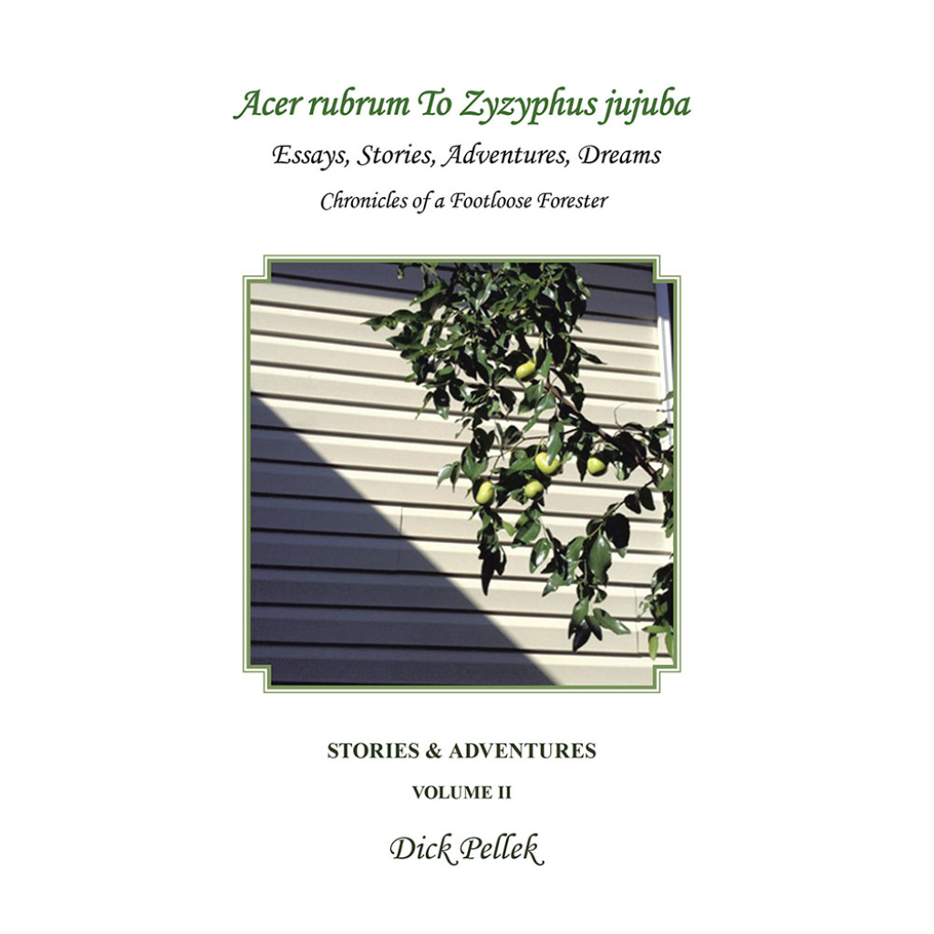 Acer Rubrum to Zyzyphus Jujuba Stories & Adventures