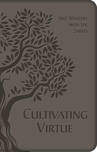 Imagen de portada: Cultivating Virtue 9781505108590