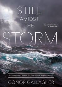 Cover image: Still Amidst the Storm 9781505112665