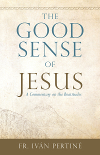 Imagen de portada: The Good Sense of Jesus 9781505113341