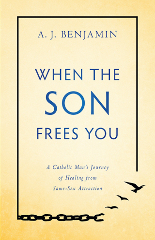 Cover image: When the Son Frees You 9781505114645
