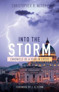 Cover image: Into the Storm 9781505115215