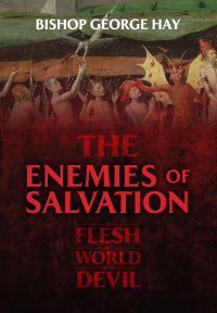 Imagen de portada: The Enemies of Salvation 9781505122633