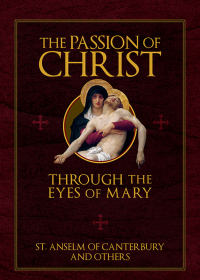 Omslagafbeelding: The Passion of Christ Through the Eyes of Mary 9781505127973