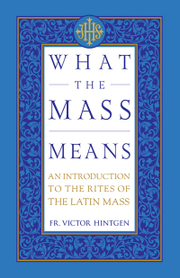 Imagen de portada: What the Mass Means 9781505128987