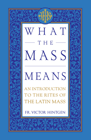 表紙画像: What the Mass Means 9781505128987