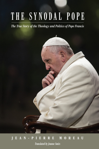 Imagen de portada: The Synodal Pope 9781505133172
