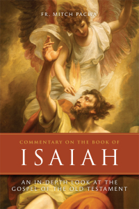 Omslagafbeelding: Commentary on the Book of Isaiah 9781505133493
