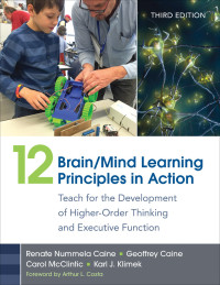 Omslagafbeelding: 12 Brain/Mind Learning Principles in Action 3rd edition 9781483382722