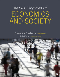 Cover image: The SAGE Encyclopedia of Economics and Society 1st edition 9781452226439