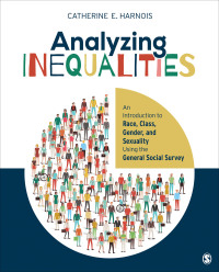 صورة الغلاف: Analyzing Inequalities 1st edition 9781506304113