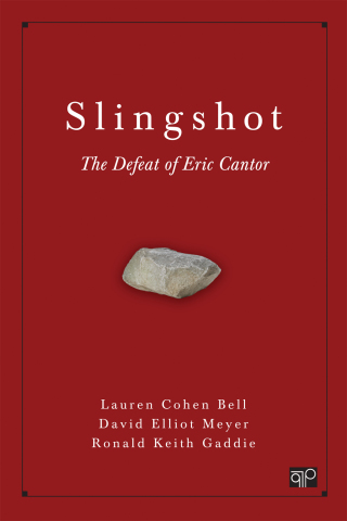 Cover image: Slingshot 1st edition 9781506311968