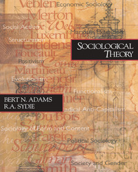 Cover image: Sociological Theory 1st edition 9780761985570