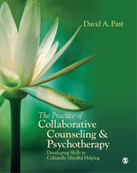 Imagen de portada: The Practice of Collaborative Counseling and Psychotherapy 1st edition 9781412995092