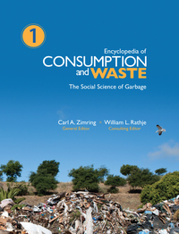 Imagen de portada: Encyclopedia of Consumption and Waste 1st edition 9781412988193