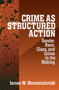 Cover image: Crime as Structured Action 1st edition 9780761907183