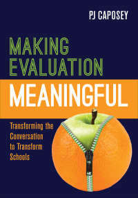 Cover image: Making Evaluation Meaningful 1st edition 9781506378893