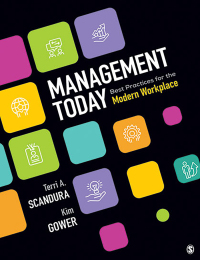 Immagine di copertina: Management Today: Best Practices for the Modern Workplace 1st edition 9781506385877