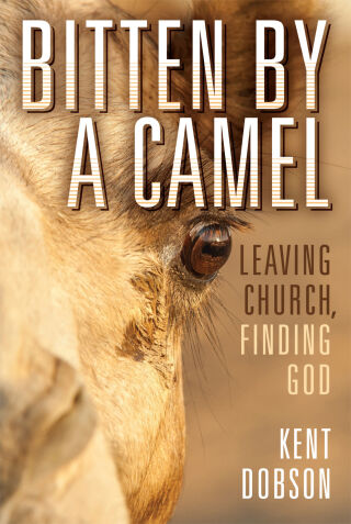 Cover image: Bitten by a Camel: Leaving Church, Finding God 9781506417745