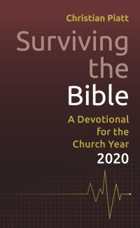 Imagen de portada: Surviving the Bible 9781506420639